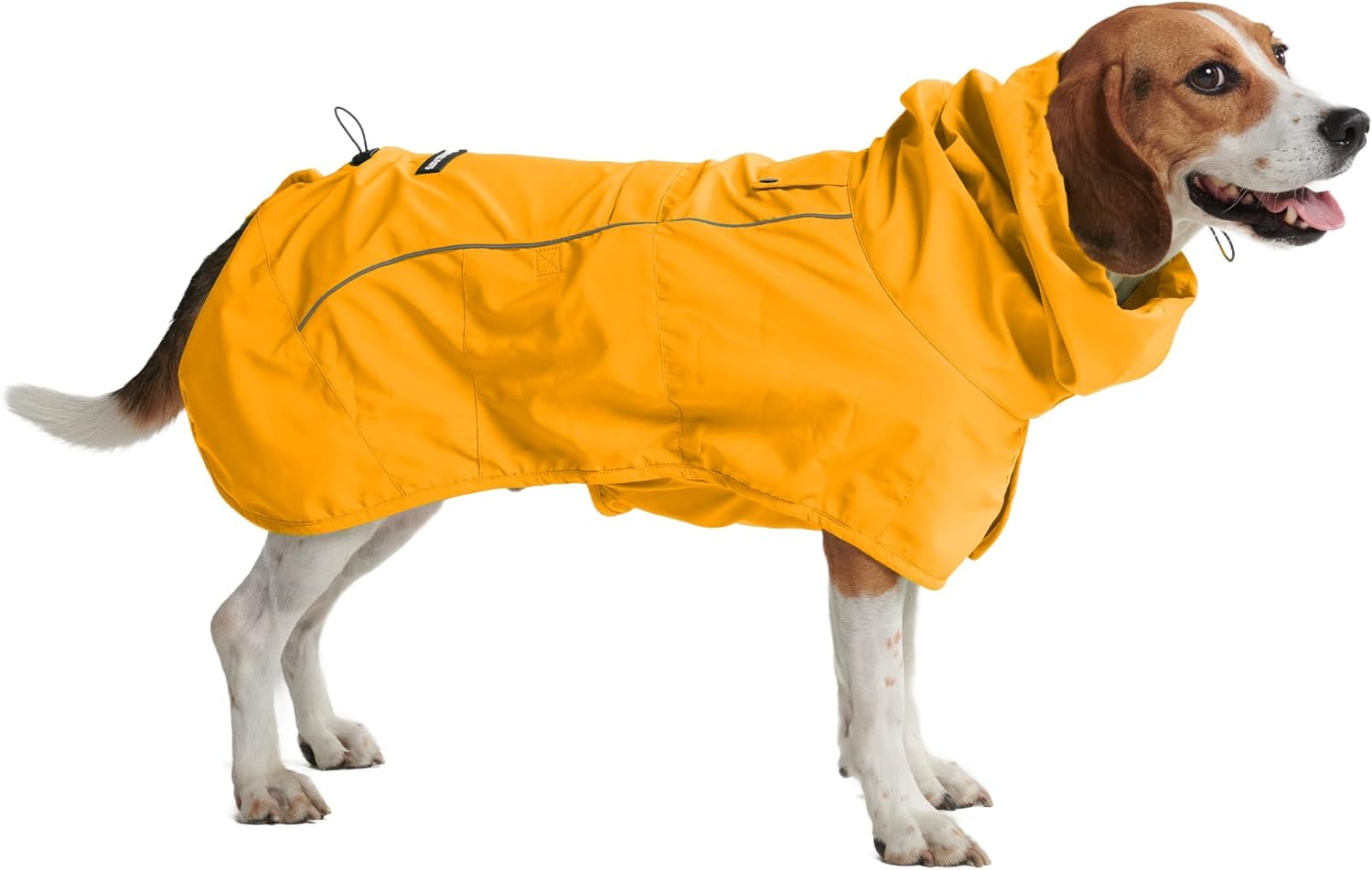 Outdoor Dog Tie-Out Cable
