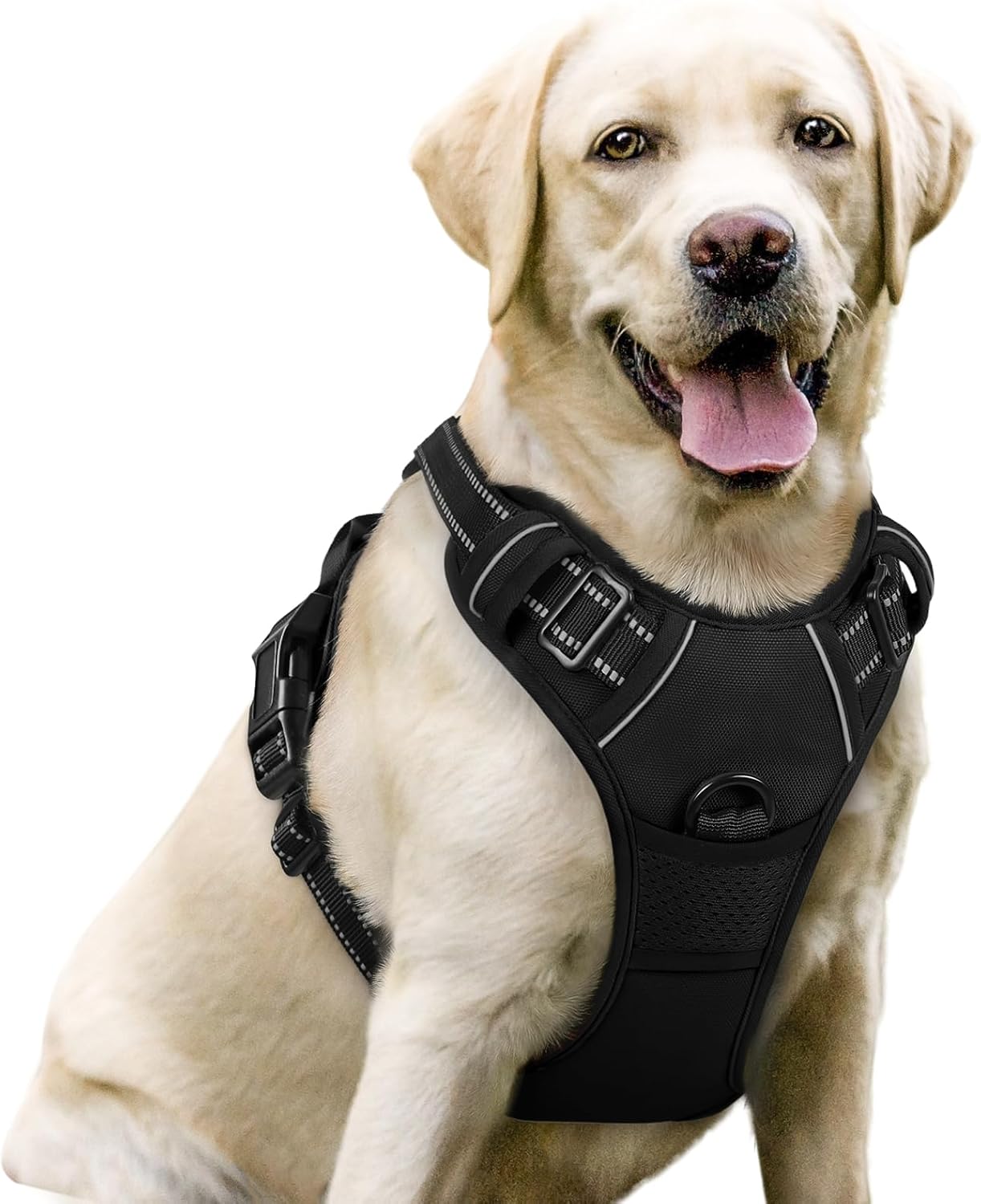 Collapsible Travel Dog Bowl